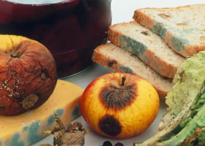 上海食品過期咋銷毀